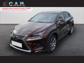 Annonce Lexus NX occasion Essence   Angoulins