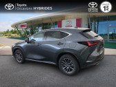 Annonce Lexus NX occasion Essence 2WD Luxe MY24  TOURS