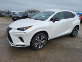 Annonce Lexus NX occasion Hybride 300h 2WD Design MY21  Beaune
