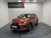 Annonce Lexus NX occasion Hybride 300h 2WD Executive Innovation  Toulouse