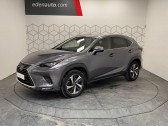 Annonce Lexus NX occasion Hybride 300h 2WD Executive  Toulouse