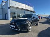 Lexus NX 300H 2WD LUXE PLUS MY21  � Lab�ge 31