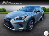 Lexus NX occasion année 2018 boite Variation continue Annonce Lexus NX occasion Hybride 300h 2WD Pack Business Euro6d-T à VANNES