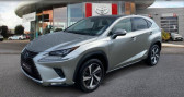 Annonce Lexus NX occasion Hybride 300h 4WD Executive Innovation MY21 à Aytre