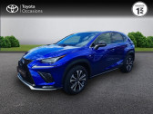 Annonce Lexus NX occasion Hybride 300h 4WD F SPORT Executive MY21  VANNES