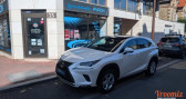 Annonce Lexus NX occasion Hybride 300H 4WD Luxe FULL options   4 jantes pneus hivers  Enghien Les Bains