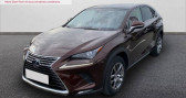 Lexus NX 300h 4WD Luxe   La Rochelle 17