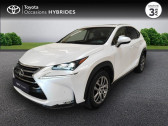 Lexus NX occasion année 2014 boite Variation continue Annonce Lexus NX occasion Hybride 300h 4WD Luxe à VANNES