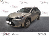 Annonce Lexus NX occasion Hybride 300h 4WD Luxe  Castres