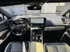 Lexus NX 350h 2WD Hybride  occasion  Beaupuy - photo n3