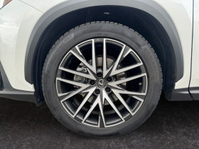 Lexus NX 350h Hybride  occasion  Beaupuy - photo n11