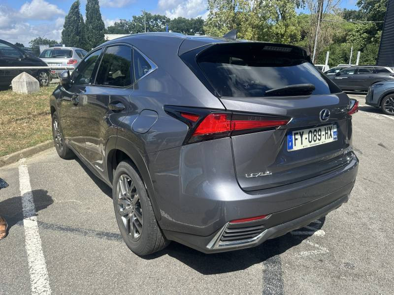 Lexus NX h 2WD Luxe Plus  occasion  ORVAULT - photo n4