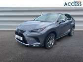 Annonce Lexus NX occasion Essence h 4WD Luxe MY19  CAGNES SUR MER