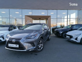 Annonce Lexus NX occasion Essence h 4WD Luxe  Nevers