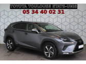 Lexus NX occasion année 2019 boite Automatique Annonce Lexus NX occasion Hybride MY20 300h 4WD Executive à Toulouse