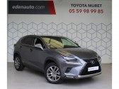Annonce Lexus NX occasion Hybride MY20 300h 4WD Luxe à Toulouse