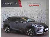 Lexus NX occasion année 2019 boite Automatique Annonce Lexus NX occasion Hybride MY20 MM19 300h 4WD Executive à Toulouse