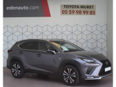 Lexus NX occasion année 2019 boite Automatique Annonce Lexus NX occasion Hybride MY20 MM19 300h 4WD Executive à Muret
