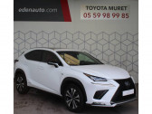 Lexus NX occasion année 2019 boite Automatique Annonce Lexus NX occasion Hybride MY20 MM19 300h 4WD F SPORT Executive à Toulouse