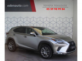 Annonce Lexus NX occasion Hybride MY20 MM19 300h 4WD Luxe à Toulouse