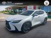 Annonce Lexus NX occasion Essence + 4WD Executive MY24  TOURS