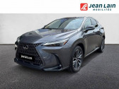 Lexus NX + 4WD Hybride Rechargeable Executive  2025 - annonce de voiture en vente sur Auto Sélection.com
