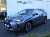 Lexus UX occasion année 2022 boite Robotisee Annonce Lexus UX occasion Hybride 250H 2WD F SPORT à LABEGE CEDEX