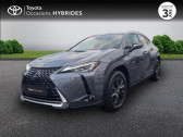 Lexus UX occasion année 2021 boite Variation continue Annonce Lexus UX occasion Hybride 250h 2WD Luxe MY21 à VANNES