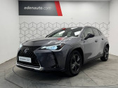 Annonce Lexus UX occasion Hybride 250h 2WD Luxe  Toulouse