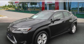 Annonce Lexus UX occasion Hybride 250h 2WD Pack Business MY20 à Tours
