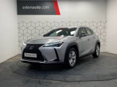 Annonce Lexus UX occasion Hybride 250h 2WD Pack Business  Toulouse