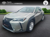 Annonce Lexus UX occasion Hybride 250h 2WD Pack Confort Business + Stage Hybrid Academy MY21  VANNES