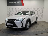 Annonce Lexus UX occasion Hybride 250h 2WD Pack Confort Business � Toulouse