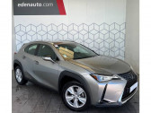 Annonce Lexus UX occasion Hybride 250h 2WD Pack Confort Business+Stage Hybrid Academy à Toulouse