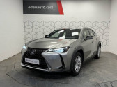 Annonce Lexus UX occasion Hybride 250h 2WD Pack � Toulouse