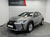 Annonce Lexus UX occasion Hybride 250h 2WD Pack  Toulouse