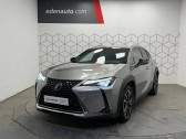 Annonce Lexus UX occasion Hybride 250h 4WD Executive � Toulouse