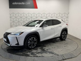 Annonce Lexus UX occasion Hybride 250h 4WD Executive � Toulouse