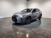 Annonce Lexus UX occasion Essence h 2WD Luxe MY19  CHALLANS
