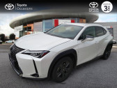 Annonce Lexus UX occasion Essence h 2WD Luxe MY19  HORBOURG-WIHR