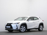 Lexus UX h 2WD Pack MY21  2021 - annonce de voiture en vente sur Auto Sélection.com