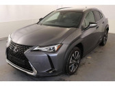 Lexus UX occasion année 2021 boite Automatique Annonce Lexus UX occasion Hybride MY21 250h 2WD Premium Edition à Tourville-la-Rivière