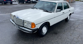 Mercedes 220 , garage MONDIAL AUTO 45  CERCOTTES
