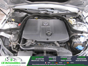 Mercedes Classe E 220 220 CDI BVA  occasion � Beaupuy - photo n�11
