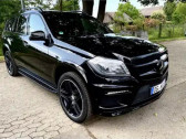 Mercedes Classe G GL 500 BVA  � L'Union 31