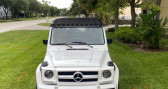 Annonce Mercedes Classe G occasion Essence wagon à LYON
