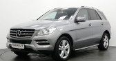 Annonce Mercedes Classe ML 250 occasion Diesel 250 BLUETEC SPORT 7G-TRONIC +  Nanteuil-les-Meaux