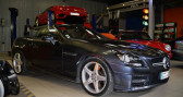 Annonce Mercedes Classe SLK 250 occasion Diesel 250 CDI 204 CV PACK AMG � ORLEAT