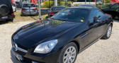 Annonce Mercedes Classe SLK 250 occasion Diesel 250 CDI  CANNES