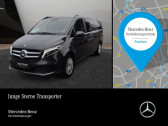 Annonce Mercedes Classe V occasion Diesel Long 300 D BVA 4 Matic 8 Places � L'Union